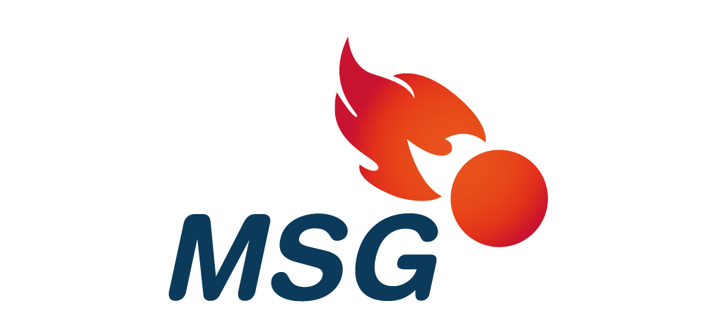 Logo_Partner_MSG